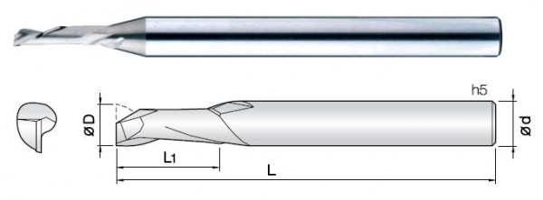 R-1EM