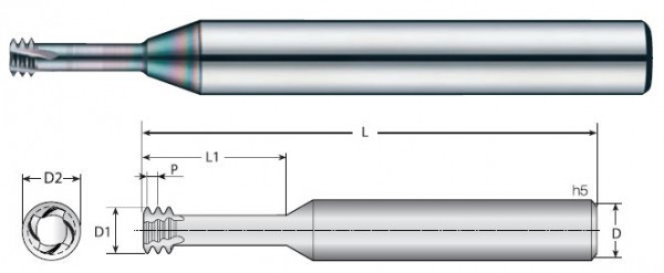 TM-4SS